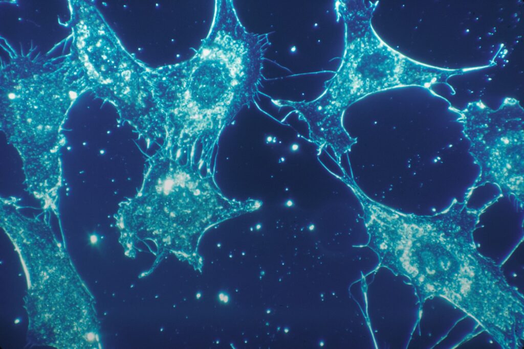 Mitochondrial biology: what changed in 2025